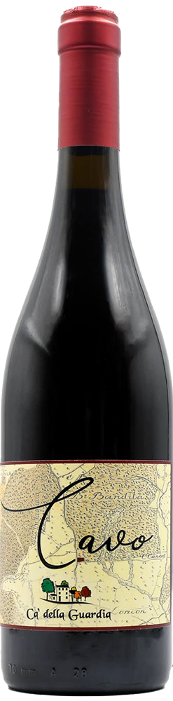 Cavo Cabernet Franc Veneto IGP