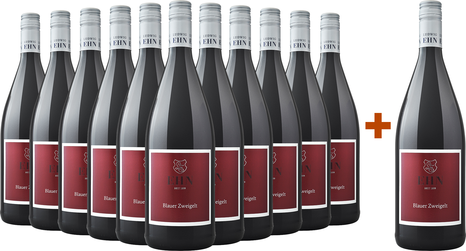11+1 Paket Blauer Zweigelt 1,0L