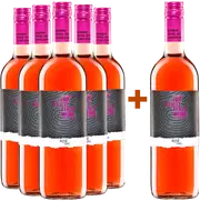 Rosé erleben – Picknick-Feeling im Glas