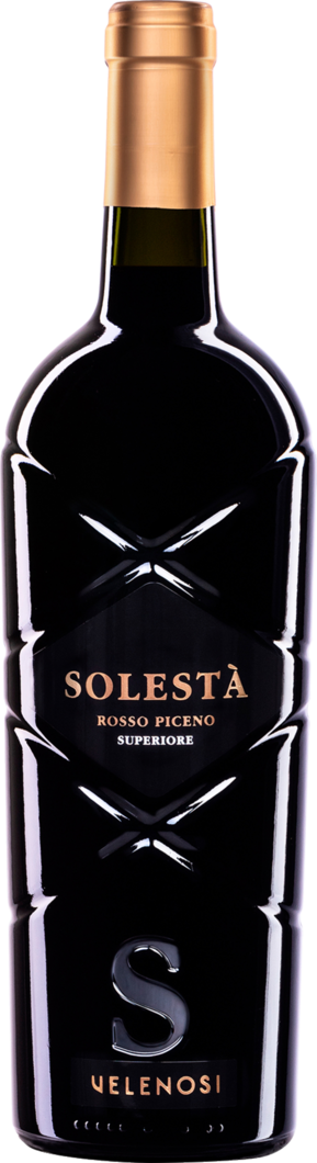 2023 Solesta Rosso Piceno reflection