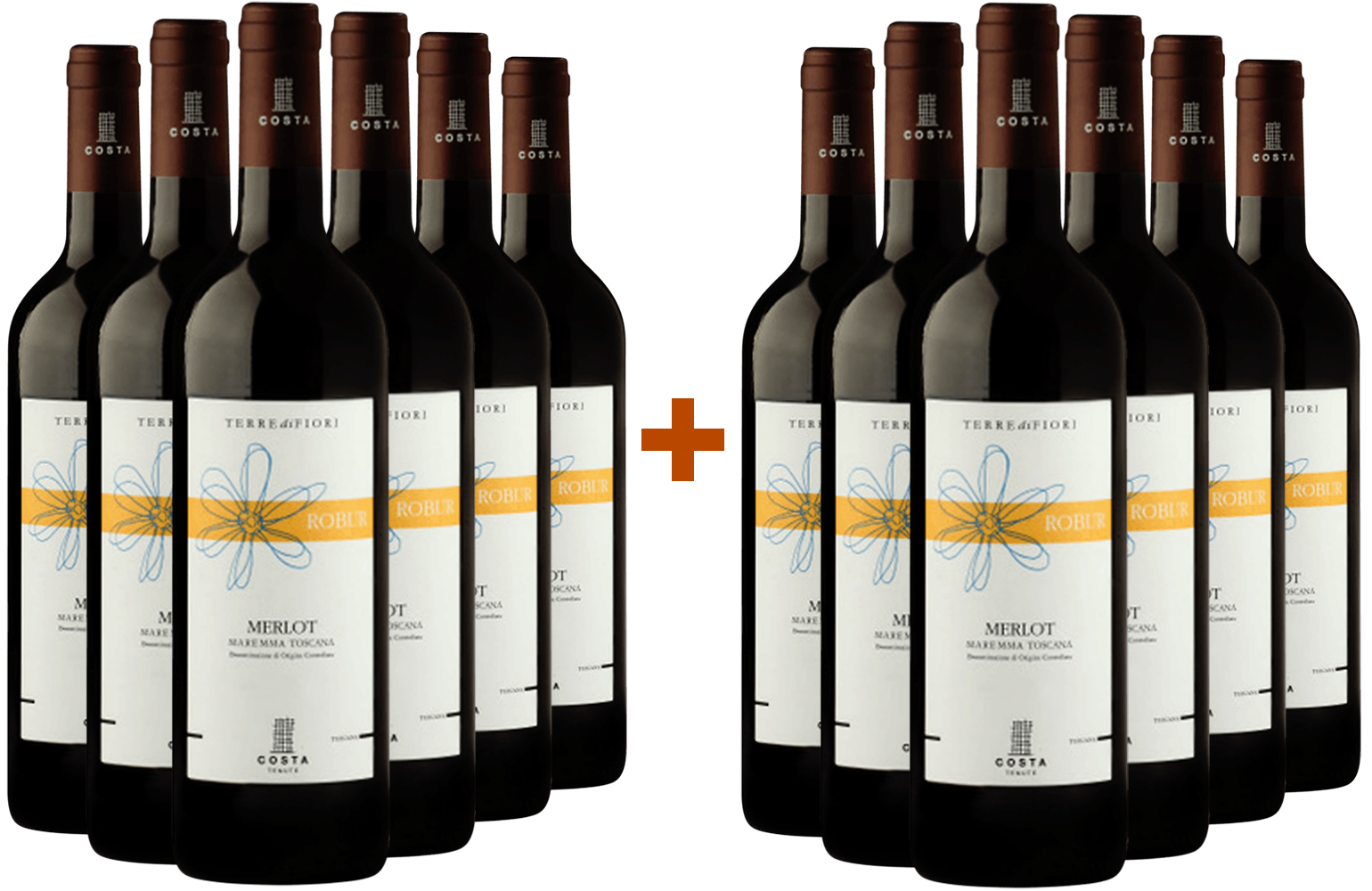 6+6 Paket Robur Merlot Toscana IGP