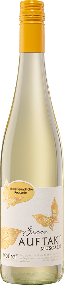 Auftakt Muscaris Secco