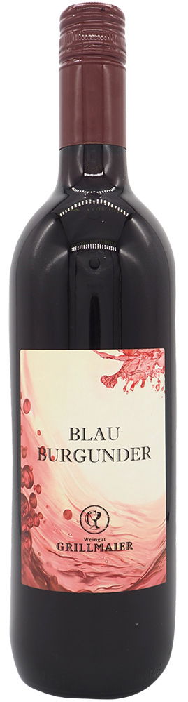 Blauer Burgunder BIO