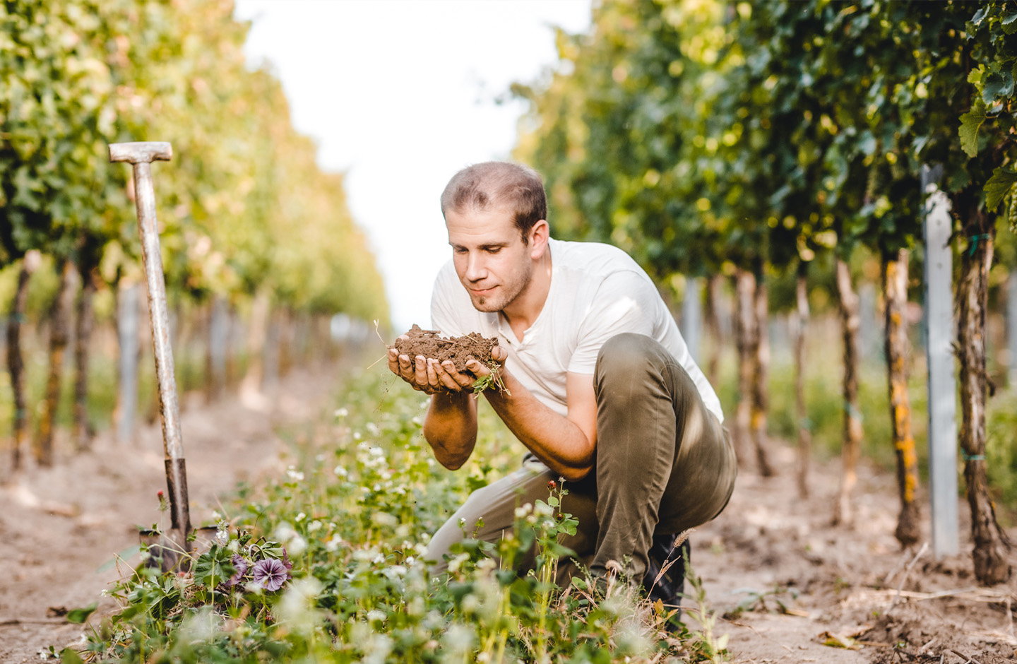 Falstaff Sieger im Aktionspaket von Stefan Pratsch