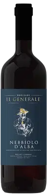 2023 Nebbiolo d'Alba DOC BIO