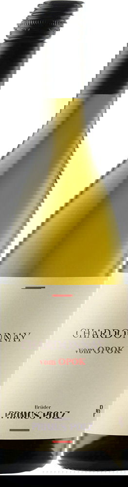 2024 Chardonnay "vom OPOK" - Slowenien