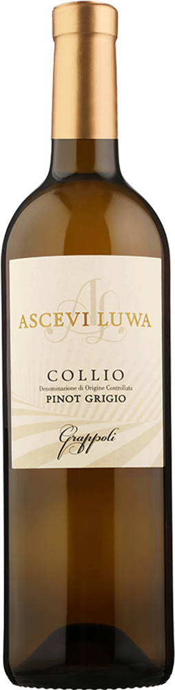 2025 Pinot Grigio Grappoli Collio Goriziano DOC