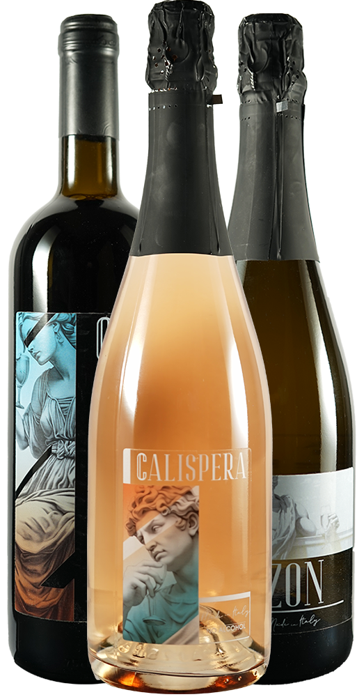 Kennenlernpaket Winelab & Distribution