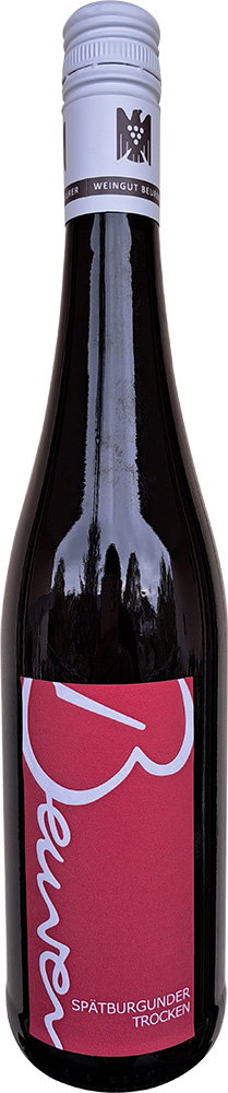 2022 Spätburgunder VDP.Gutswein BIO