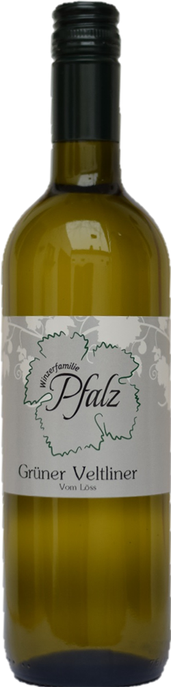 2024 Grüner Veltliner vom Löss