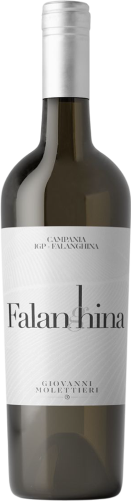 2024 Falanghina Campania IGP