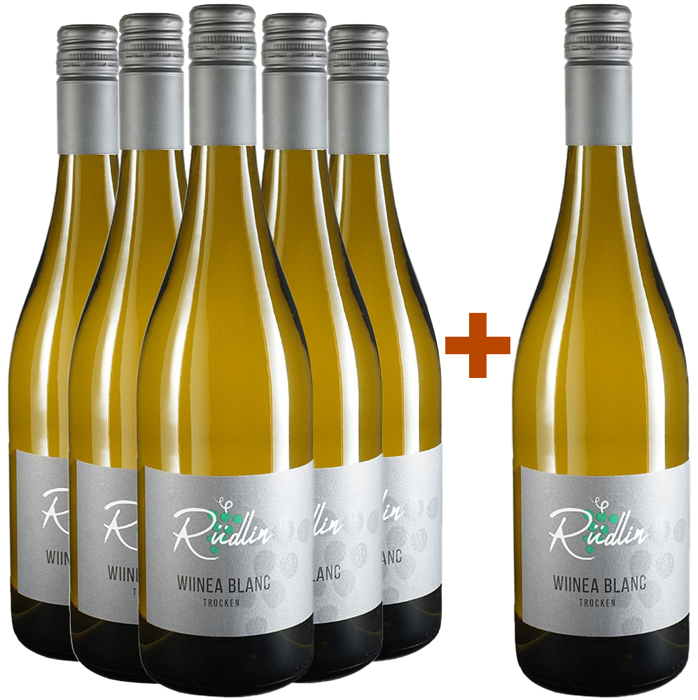 5+1 Paket WIINEA Blanc FundamenT