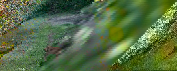 La Cave des Vignerons de Tursan