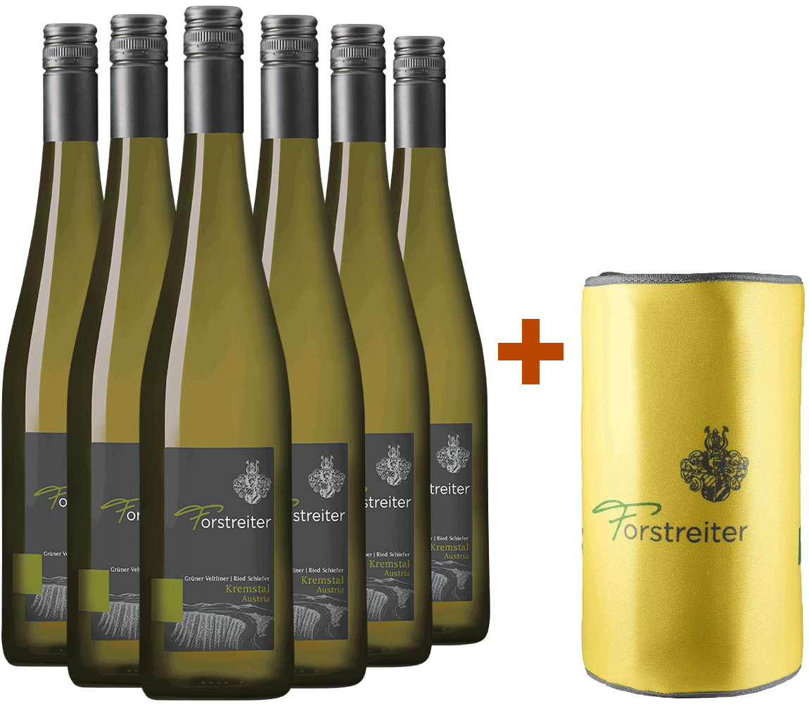 6er Paket Ried Schiefer inkl. gratis Kühlmanschette