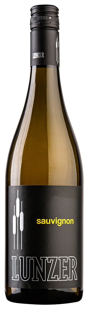 2023 Sauvignon Blanc reflection