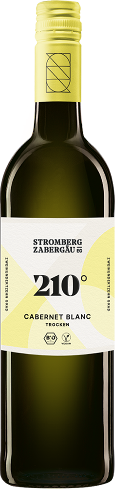 2024 210° Erkundung Cabernet Blanc BIO