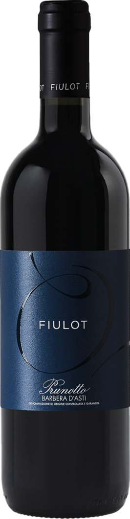 2024 Fiulot Barbera d´Asti reflection
