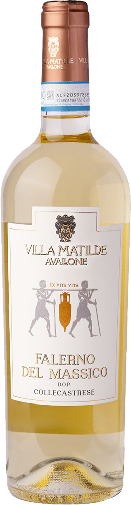 2019 Vigna Caracci Falerno del Massico Bianco DOC