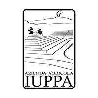 Iuppa Angelo