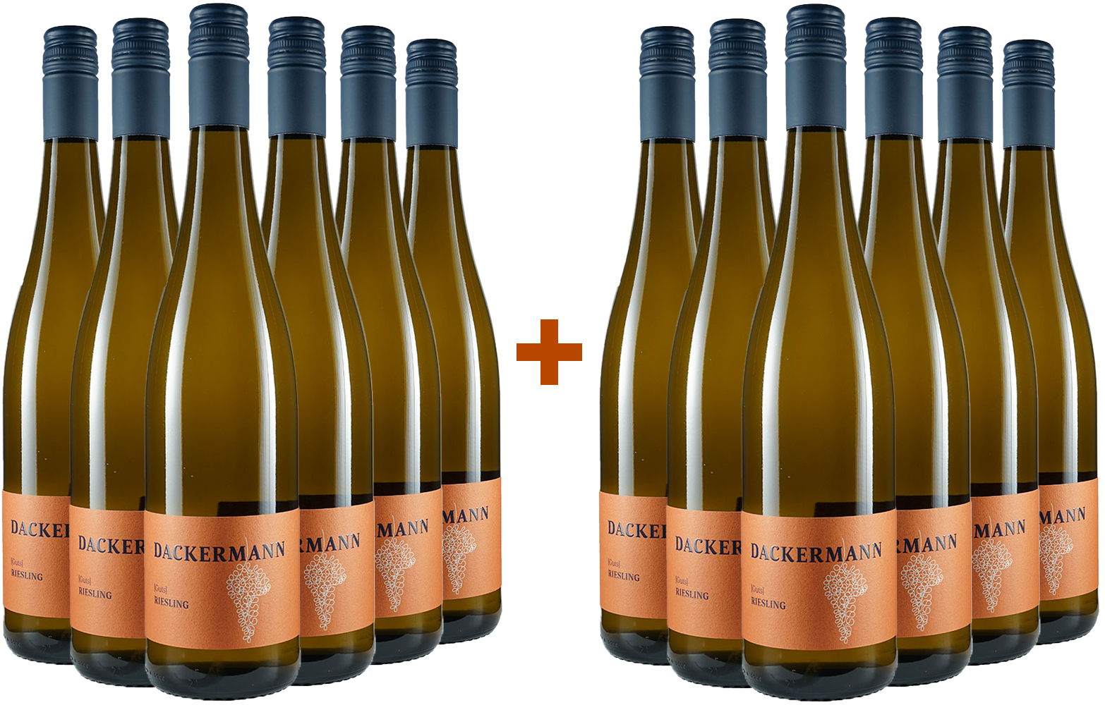 6+6 Paket Riesling Gutswein trocken