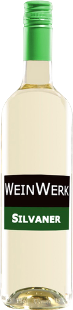 2025 WeinWerk Silvaner - So soll er sein