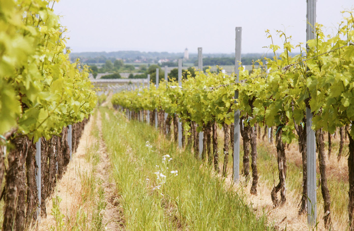 Andres am Lilienthal