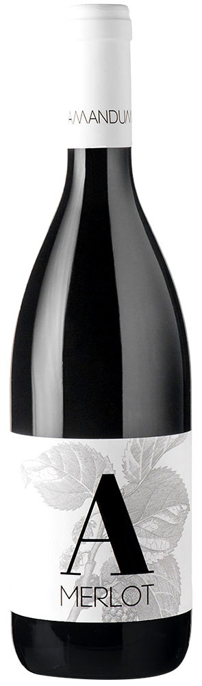 2017 Merlot Friuli Isonzo DOC