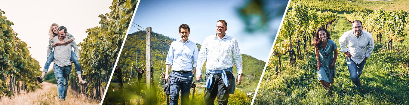 Winzer und Weingüter in den Weinbergen