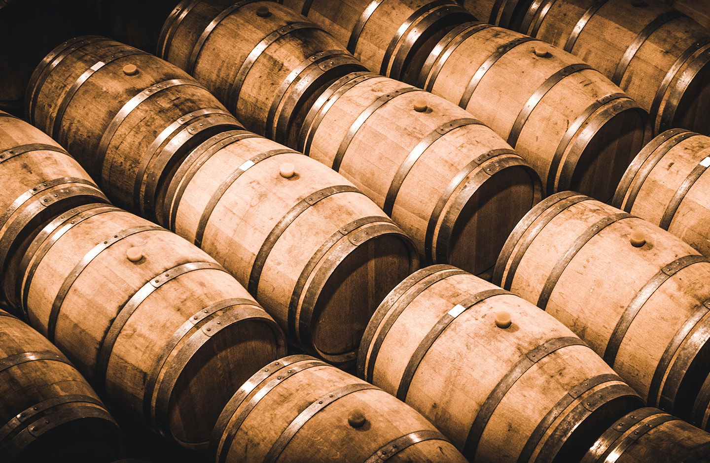 Der neue Jahrgang 2024 ist da