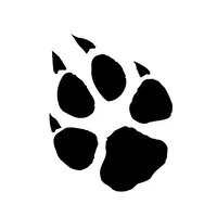 Massimo Leone Logo