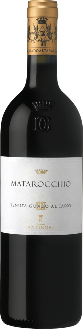 2019 Matarocchio reflection