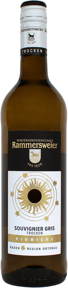 2024 Souvignier gris