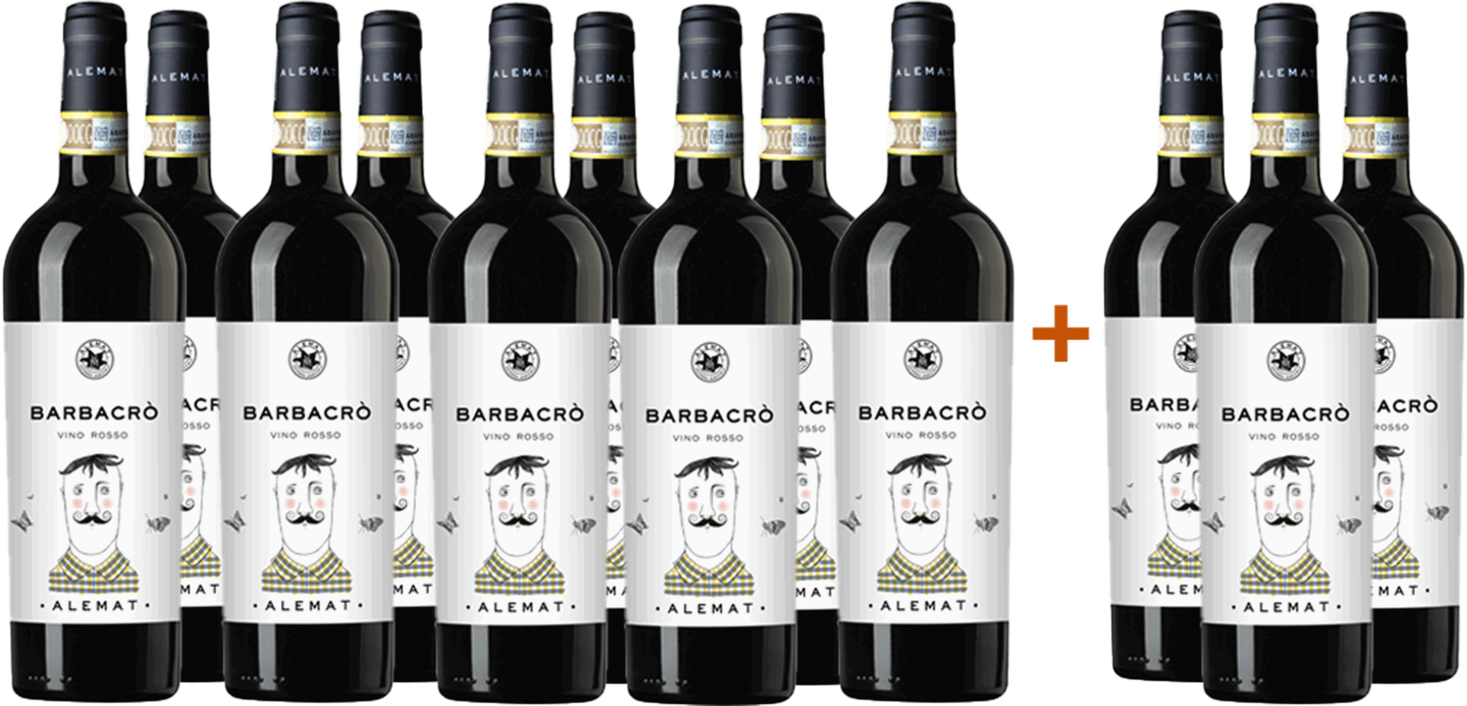 9+3 Paket Barbacrò Vino Rosso BIO