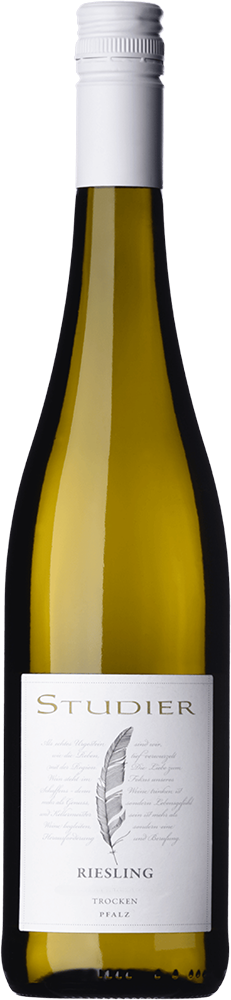 2025 Riesling BIO reflection