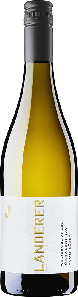 2025 Weißburgunder & Chardonnay -vom Löss-