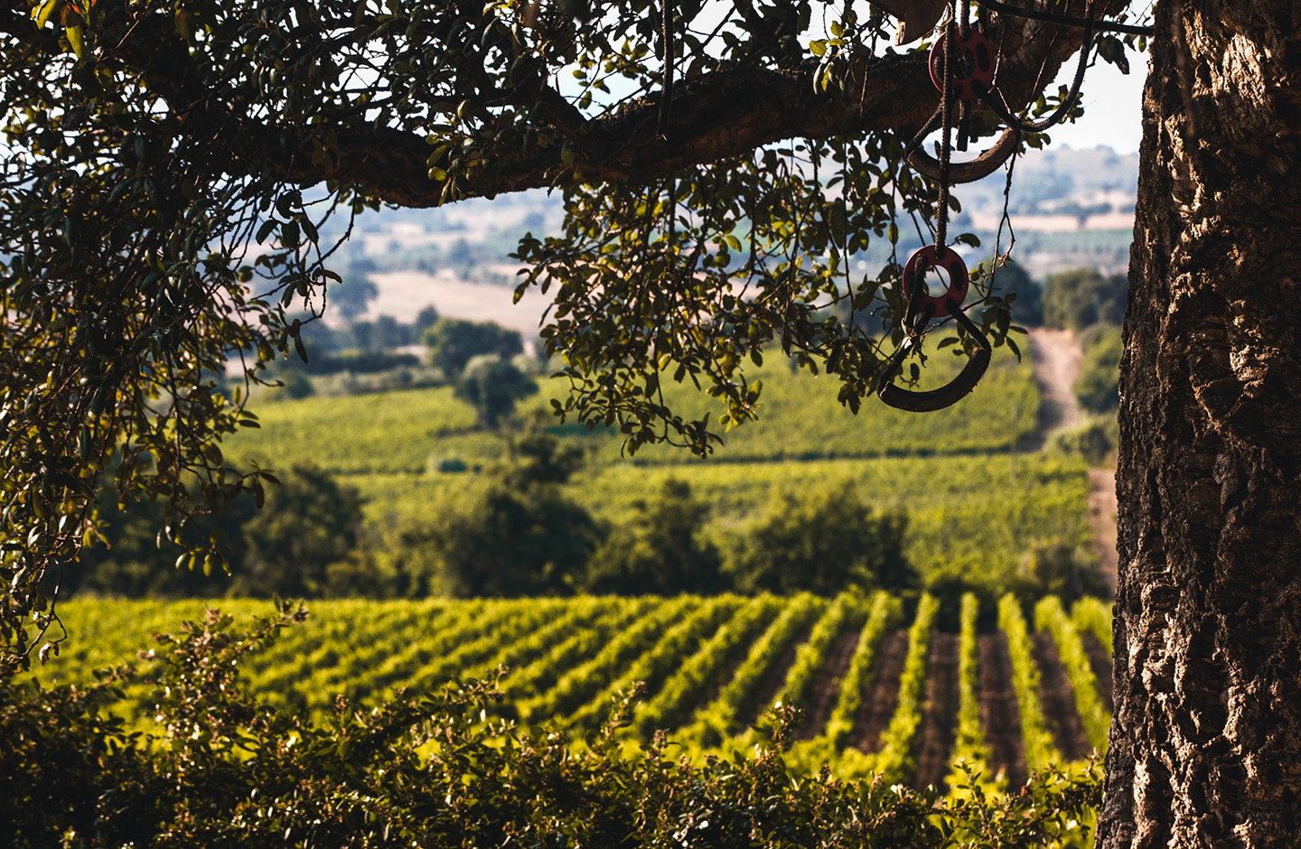 Val di Toro