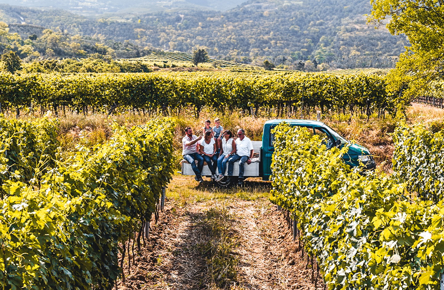 Gelber Muskateller – prickelnde Eleganz