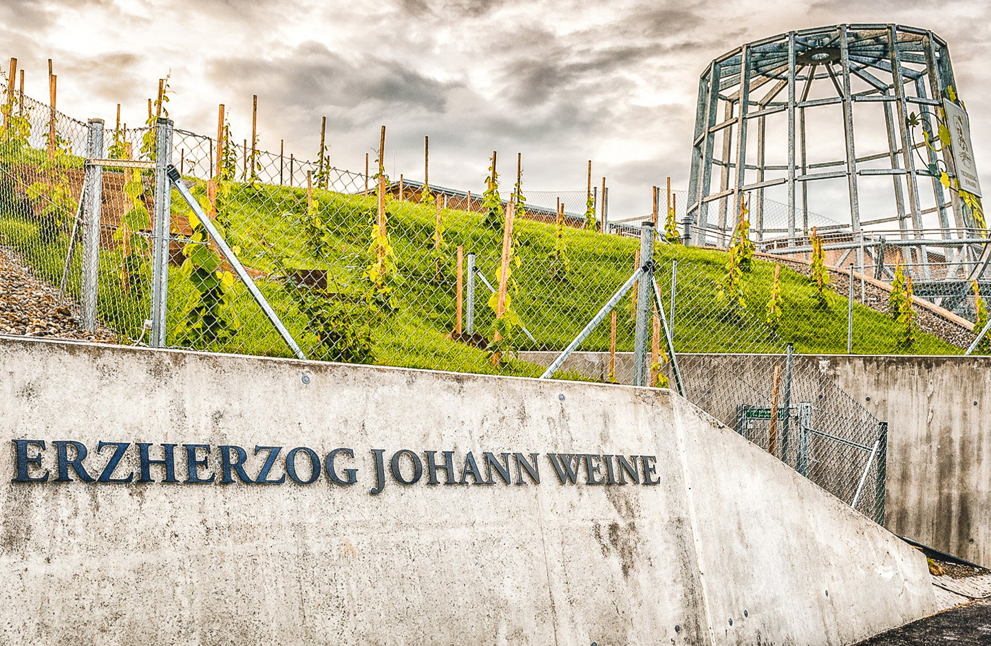 Intensiv, elegant, bio – Pinot Noir von Edelbauer