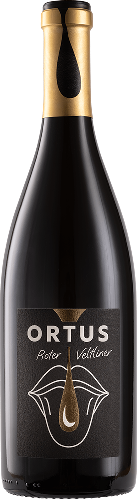 2023 "ORTUS" Roter Veltliner Ried Steinbruch