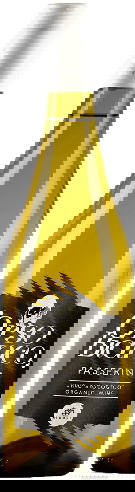 2021 Orso Bianco Passerina Terre di Chieti IGP