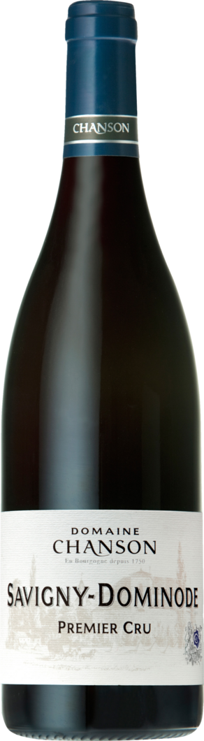 2021 Domaine Chanson Savigny-Lès-Beaune Dominode reflection