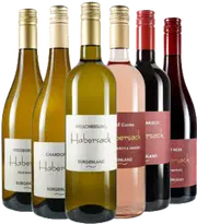 Exklusive Auswahl von Winzerin Habersack im Paket