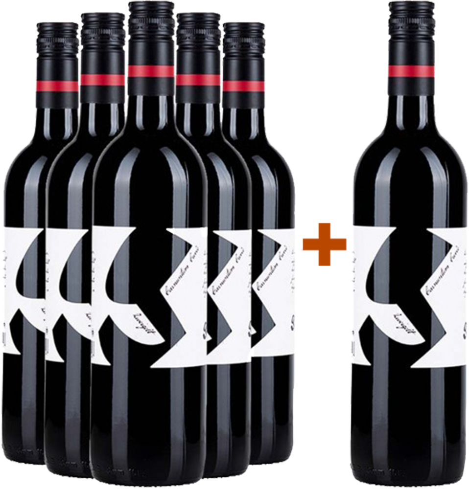 5+1 Paket Zweigelt Rubin Carnuntum DAC trocken BIO