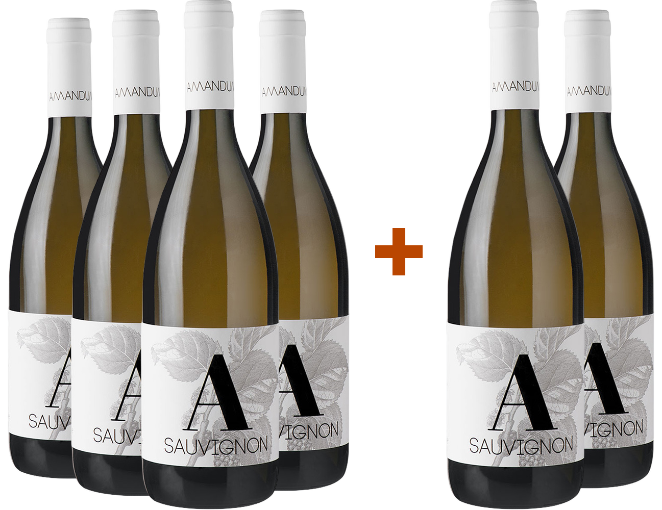 4+2 Paket Sauvignon Friuli Isonzo DOC