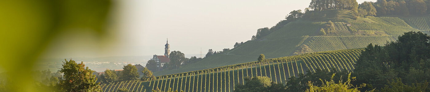 Fürstlich Castell’sches Domänenamt