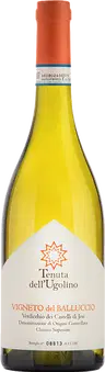 2024 Vigneto del Balluccio Verdicchio dei Castelli di Jesi Classico Superiore DOC BIO