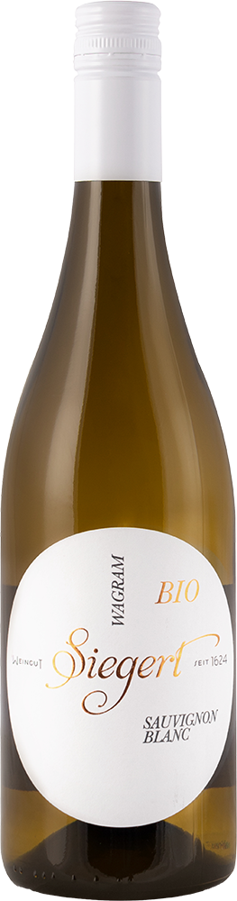 2024 Sauvignon Blanc BIO