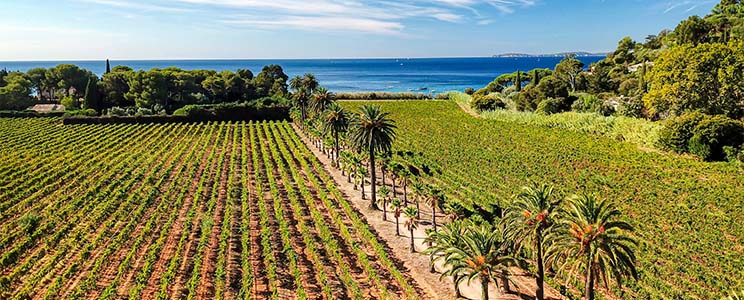 Domaine de La Madrague