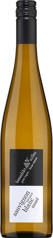 2024 Sauvignon Blanc