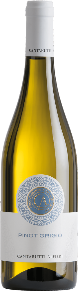2025 Pinot Grigio Friuli Colli Orientali DOC reflection